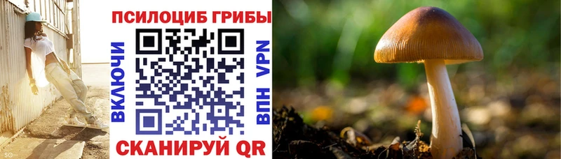 Галлюциногенные грибы Psilocybe Данков