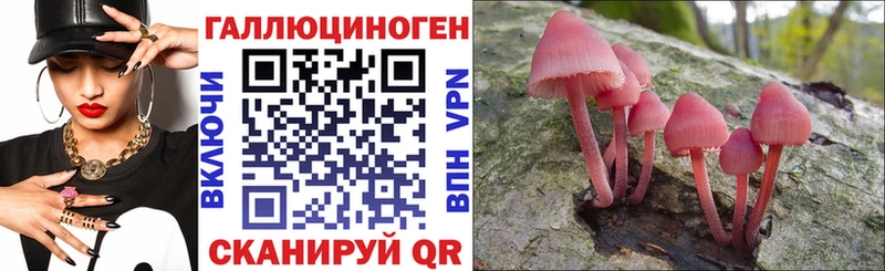 Псилоцибиновые грибы мицелий  Данков 